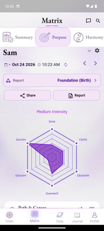 Radar with axes Drive, Clarity, Obstacles, Overreach, Delusion, Success and label Medium Intensity