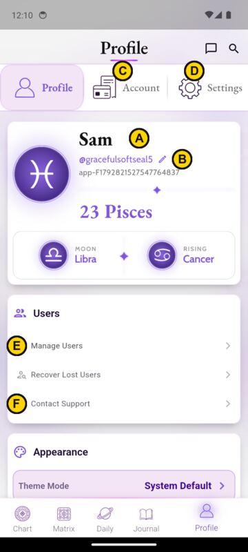 Poll image: Profile screen with lettered tap targets